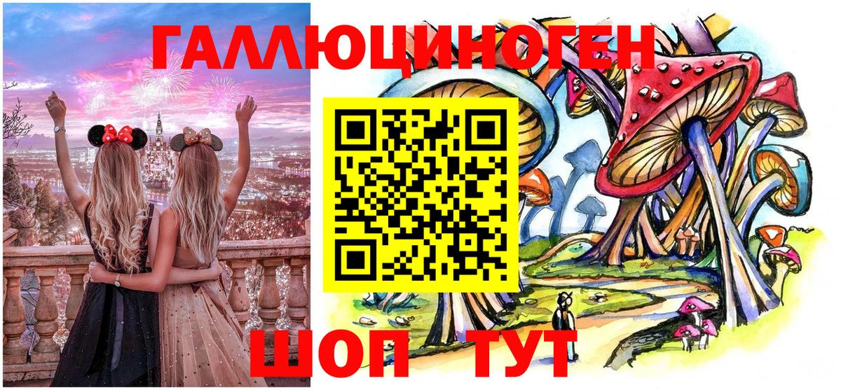 Советск  Псилоцибиновые грибы Psilocybine cubensis  Вход с VPN 