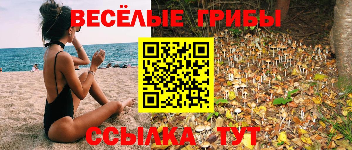 Псилоцибиновые грибы Magic Shrooms Советск